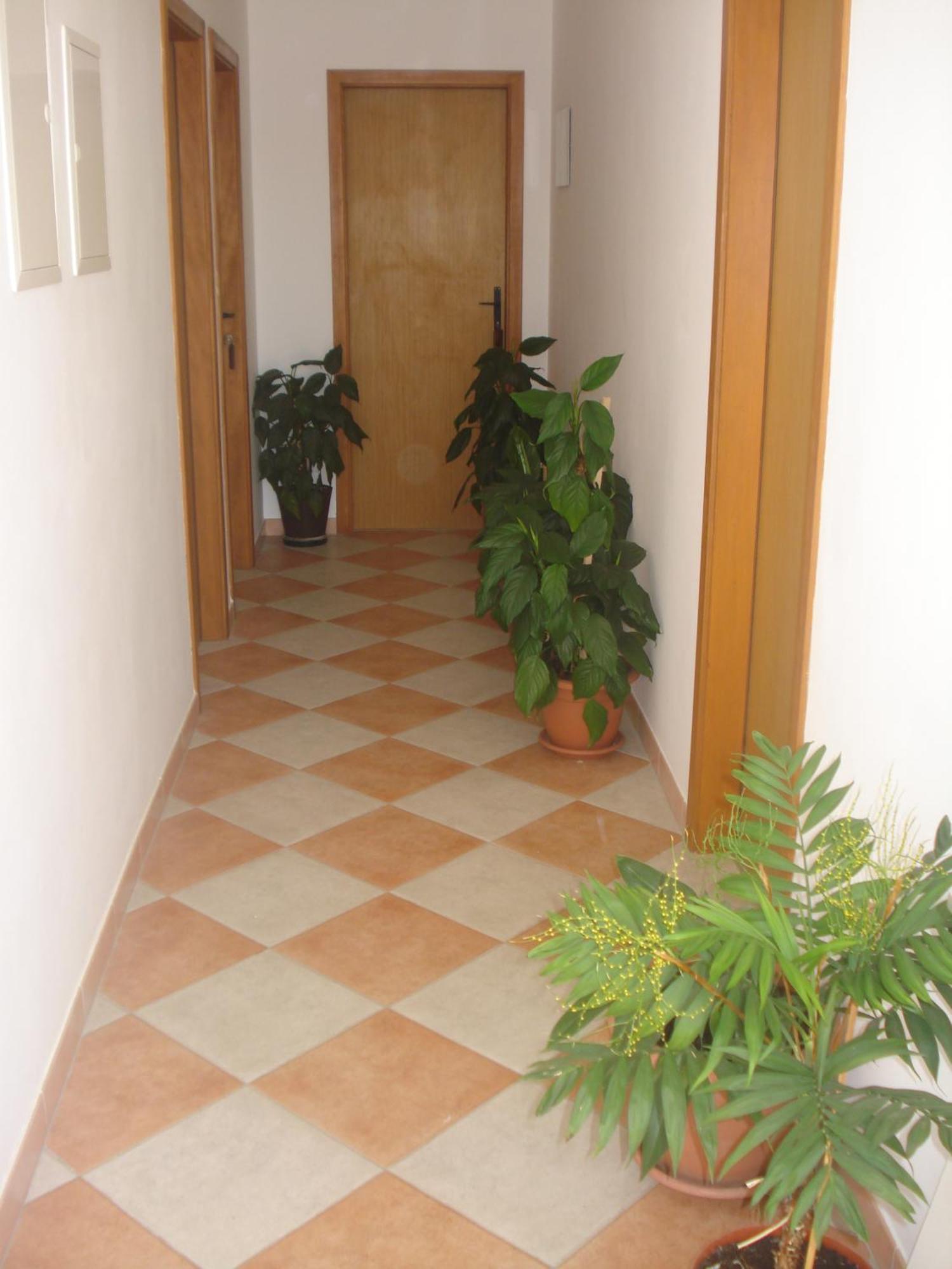 Apartments San Giorgio Sućuraj Exterior foto